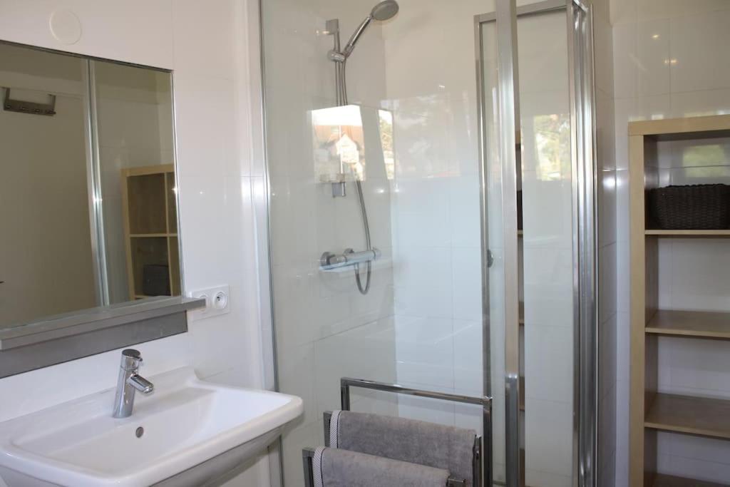 Superb Apt- Garden- 3 Parkings, Near Petite Venise ! Colmar Bagian luar foto
