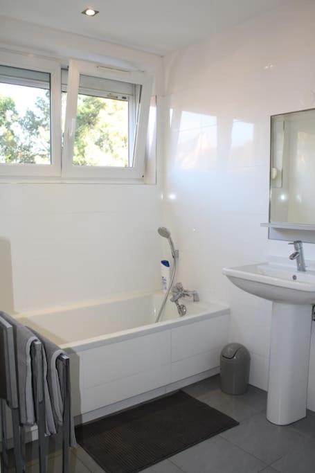 Superb Apt- Garden- 3 Parkings, Near Petite Venise ! Colmar Bagian luar foto