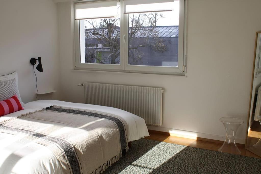 Superb Apt- Garden- 3 Parkings, Near Petite Venise ! Colmar Bagian luar foto